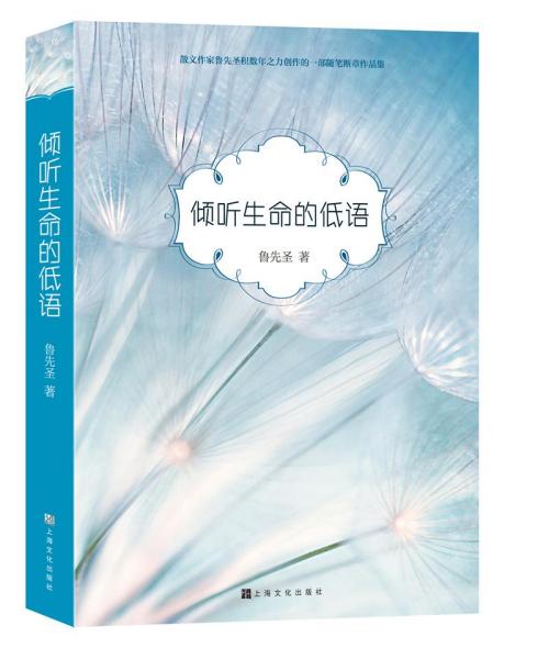 听诊器聆听生命交响